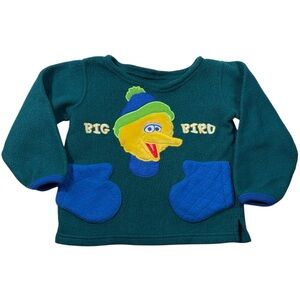 Vintage 80s Big Bird Sesame Street Green Fleece Pullover Sweatshirt Winter 4T